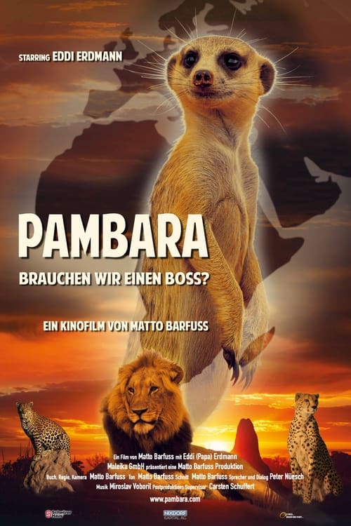 Pambara - Brauchen wir einen Boss