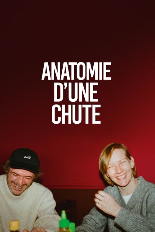Anatomie eines Falls (OV)