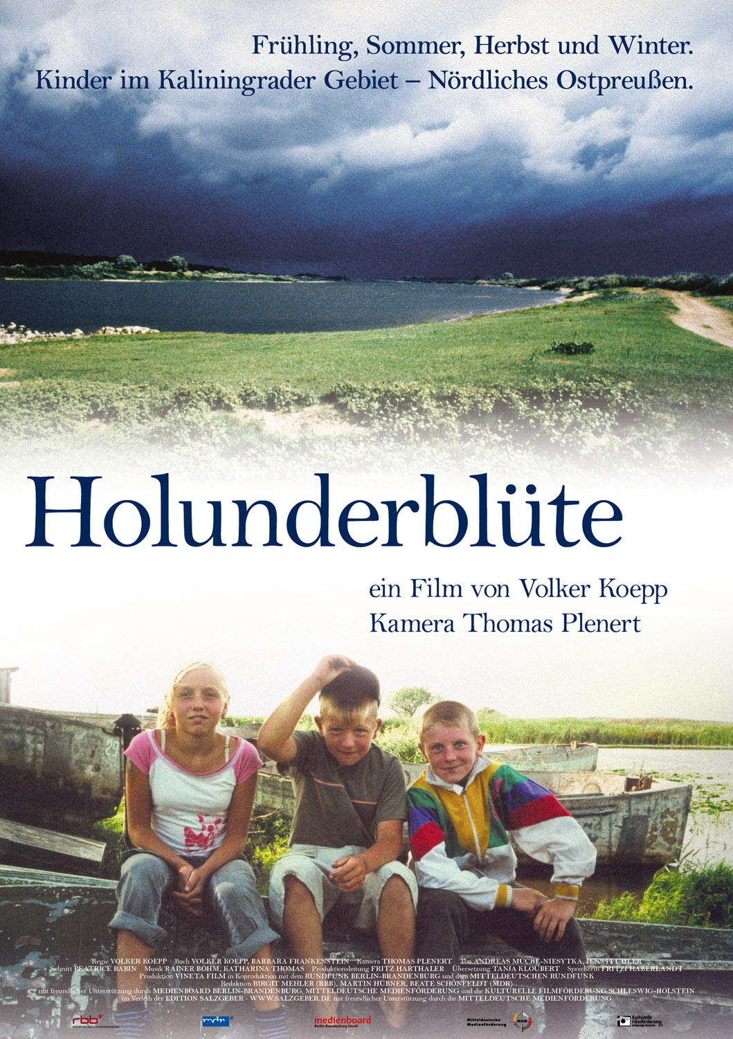 Holunderblüte