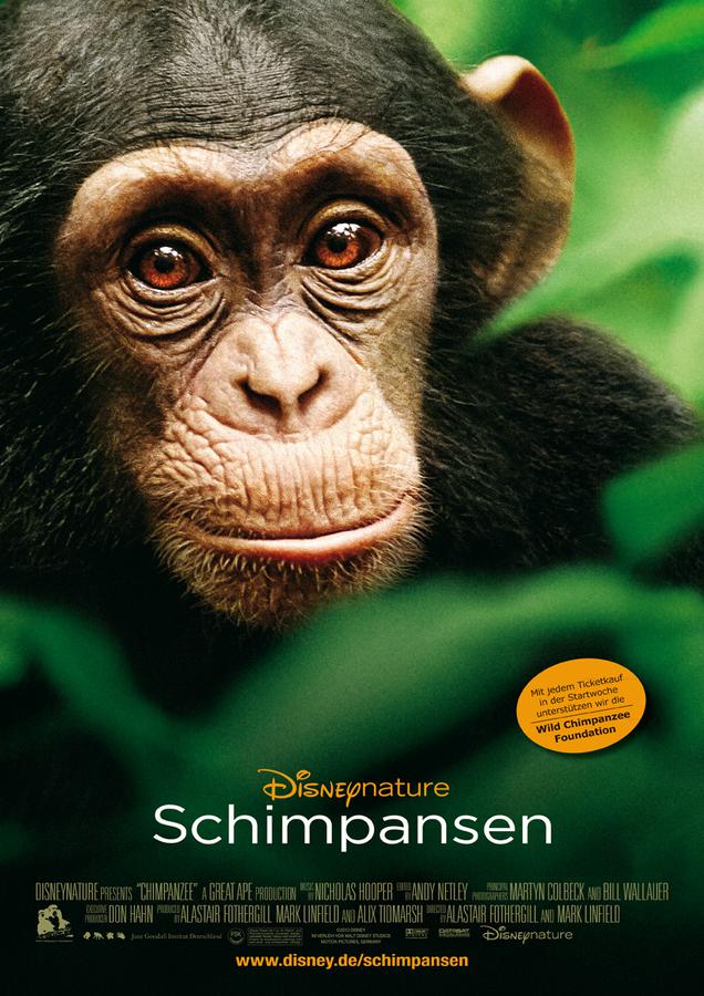 Schimpansen